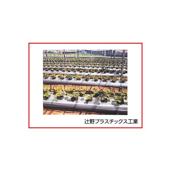 ҖvX`bNX Vo[}` cWVo[ 0.03mm×210cm×200m 2{ _Ǝ |pi ƒ؉ }`tB K[fjO