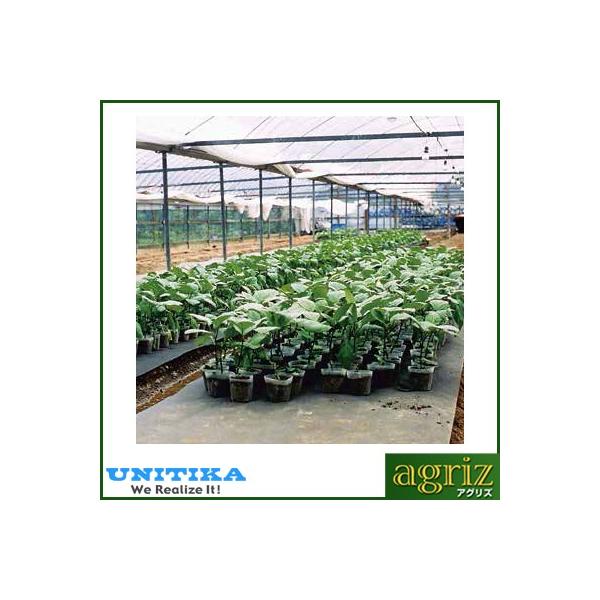 j`J c~p sDz uV[g ubN 120cm×100m 61009BKG