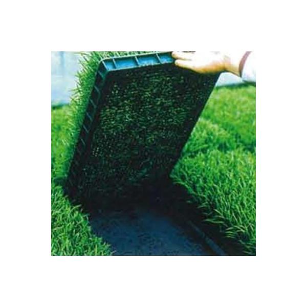 j`J c~p sDz uV[g ubN 210cm×100m 3{ 20507BKD