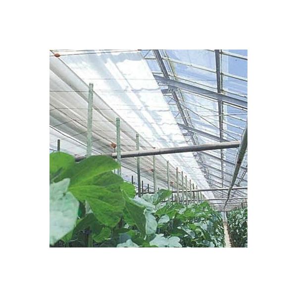 ���j�`�J �J�[�e���p �s�D�z �X�[�p�[���u�V�[�gFX 360cm×100m 2�{�� 20557FXZ