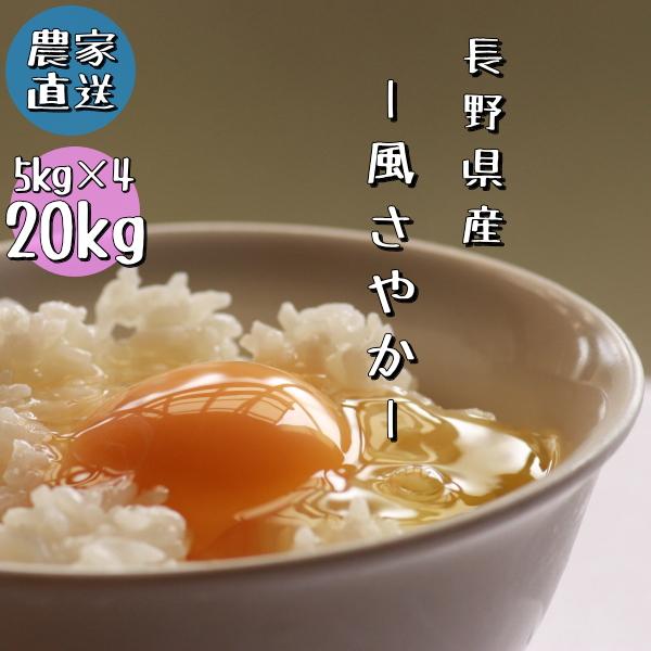 長野県産 風さやか 白米 20kg 5kg×4 農家直送 送料無料 産地直送  