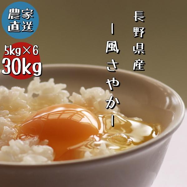 長野県産 風さやか 白米 30kg 5kg×6 農家直送 送料無料 産地直送 長野県産 風さやか 白米 30kg 5kg×6 農家直送 送料無料 産地直送
