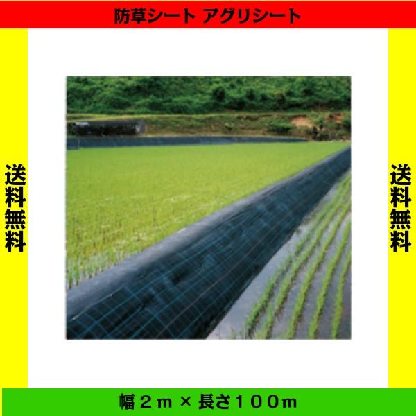 AOV[gihV[gj@2m×100m@