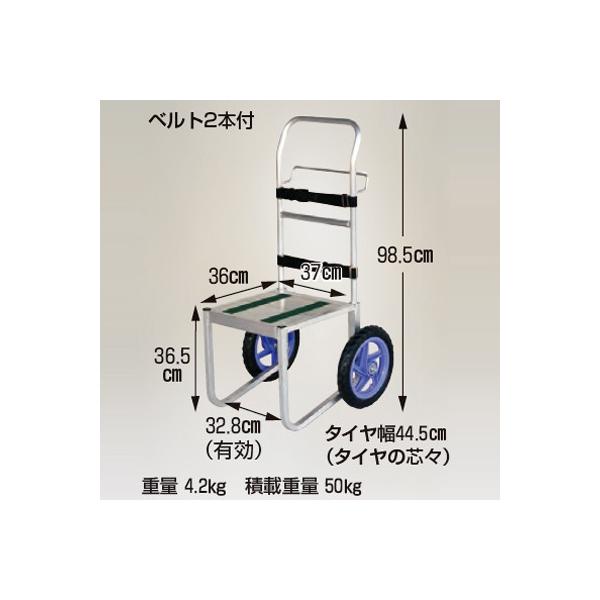 nbNX L{[C  DC-365 wp^