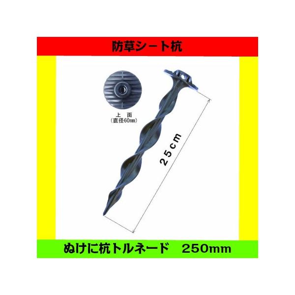 hV[gY ʂɍYgl[h 250mm s 25cm 50{Zbg hV[gs ABS B Gh~V[g V[g |V[g Œ Œs }Y