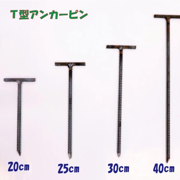 T^AJ[s 20cm×10mm 10{ hV[g s Y B Gh~V[g hV[gp hV[g V[g |V[g V[g Œ Œp Œs