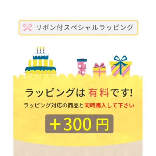 【同時購入必須】クッション専用 有料ギフトオプション リボン付きスペシャルラッピング