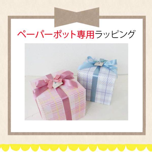 【同時購入必須】●ペーパーポット● 有料ギフトオプション リボン付きスペシャルラッピング