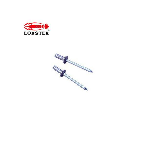 エビ/ロブテックス AP68MP ブラインドリベット(丸頭)　広範囲タイプ　エコパック(25本入)