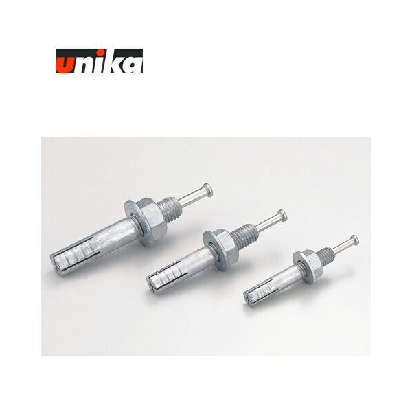 ユニカ C-1270D ルーティアンカーC-Dタイプ（溶融亜鉛メッキ,♂M12×全長70mm　30本入