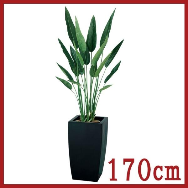 観葉植物 フェイク 人工植物 ギフト 大型 グリーン グリーン オシャレ 壁面緑化 ストレチア レギネ 170cm 170cm Hg Lstk 壁面装飾と人工観葉植物の愛一輪