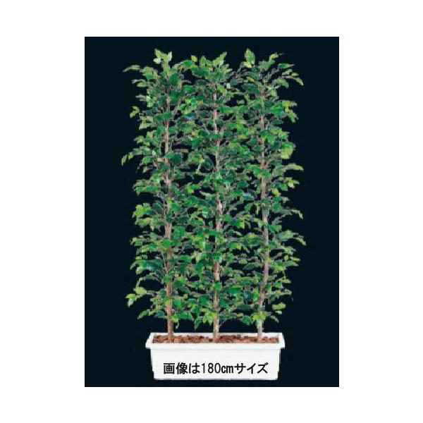 W100×D50×H180cmパーテーションで癒しの空間作り