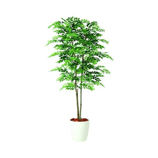 180cm 観葉植物 フェイク 人工植物 ギフト 大型 グリーン オシャレ アカシア天然木 2本立ち 180cm