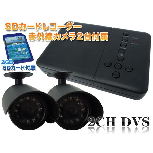 専門店専門店防犯カメラ 自動感知機能付 防犯カメラ2台 録画装置セット