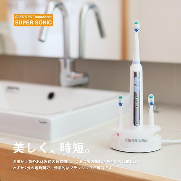 SIS 電動歯ブラシ 本体【今だけ替えブラシ6本付】電動音波 SIS 電動歯ブラシ 本体【今だけ替えブラシ6本付】電動音波