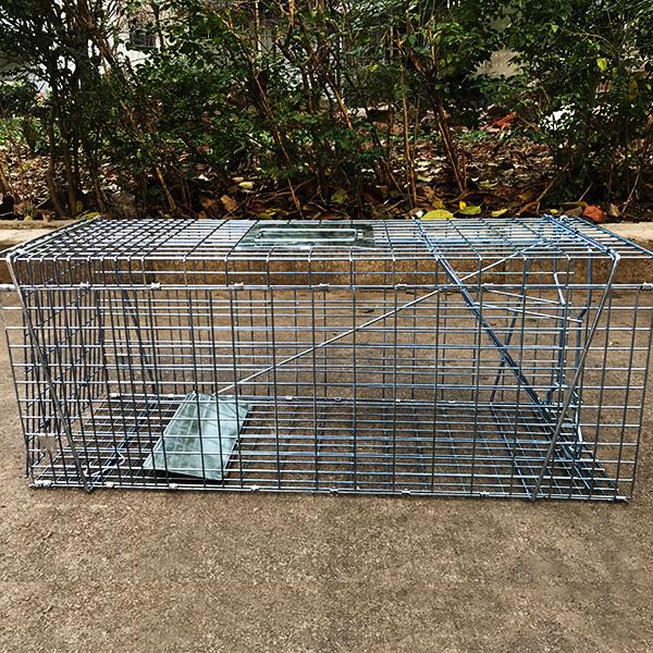 捕獲器 箱罠 イタチ 捕獲 踏み板式 猫 ネコ 畑 餌 アニマルキャッチャー アニマルトラップ 動物 駆除 捕獲網 小動物 退治 捕獲機 ###トラップゲージTSDWR### :SISTSDWR:一撃SHOP - 通販 - Yahoo!ショッピング 捕獲器 箱罠 イタチ 捕獲 踏み板式 猫 ネコ 畑 餌 アニマルキャッチャー アニマルトラップ 動物 駆除 捕獲網 小動物 退治 捕獲機 ###トラップゲージTSDWR### :SISTSDWR:一撃SHOP - 通販 - Yahoo!ショッピング