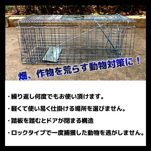 捕獲器 箱罠 イタチ 捕獲 踏み板式 猫 ネコ 畑 餌 アニマルキャッチャー アニマルトラップ 動物 駆除 捕獲網 小動物 退治 捕獲機 ###トラップゲージTSDWR### :SISTSDWR:一撃SHOP - 通販 - Yahoo!ショッピング 捕獲器 箱罠 イタチ 捕獲 踏み板式 猫 ネコ 畑 餌 アニマルキャッチャー アニマルトラップ 動物 駆除 捕獲網 小動物 退治 捕獲機 ###トラップゲージTSDWR### :SISTSDWR:一撃SHOP - 通販 - Yahoo!ショッピング