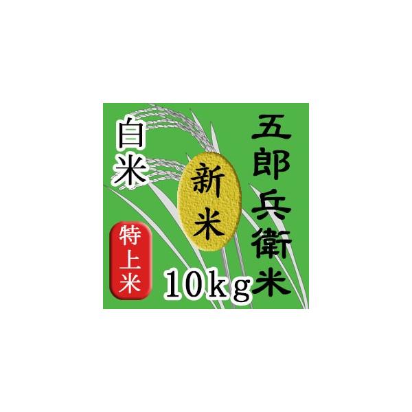 コシヒカリ 10kg 10キロ 令和6年米 幻のお米 五郎兵衛米 信州 コシヒカリ 10kg 10キロ 令和6年米 幻のお米 五郎兵衛米 信州