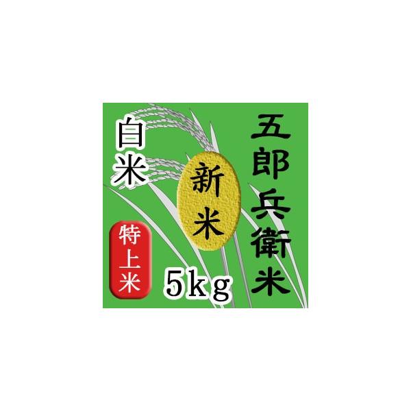 コシヒカリ　令和4年米 幻のお米 五郎兵衛米 信州長野 佐久 白米5kg 美味しい水と粘土質の五郎兵衛新田から産出 本物のおいしい