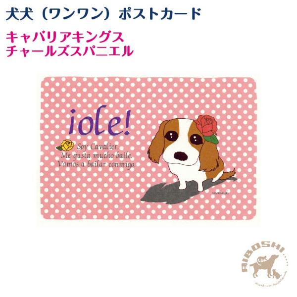 犬犬 ワンワン ポストカード キャバリアキングスチャールズスパニエル 配送区分 P 藍星 通販 Yahoo ショッピング