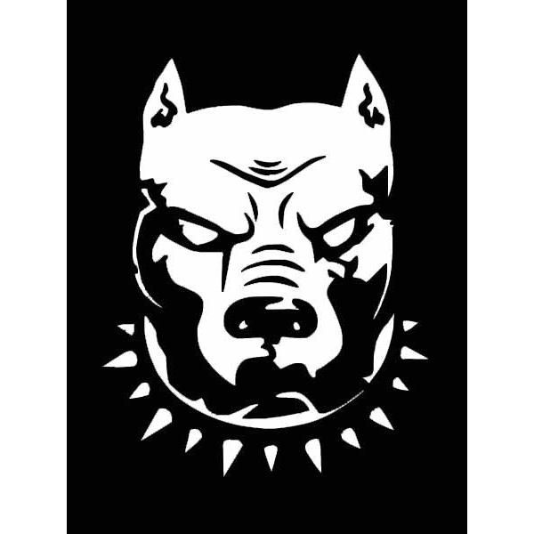 XebJ[ sbgu S2F zCg ubN JbeBOXebJ[  oCN fJ[ V[ ] Pitbull  AJu[ AJ G