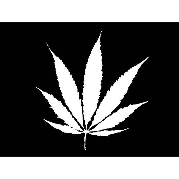 XebJ[ HEMP LEAF S3F zCg O[ ubN  oCN fJ[ V[ ] JbeBOXebJ[ wv̗t wv  AJ G