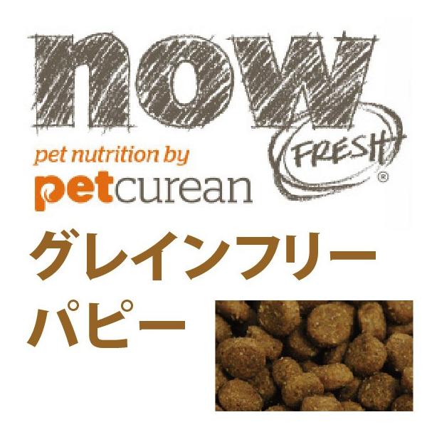 ナウフレッシュ パピー 11 3kg おやつorペット用品 プレゼント 送料無料 子犬用 犬用 犬 グレインフリー ナウ フレッシュ Now ドッグフード ドライ Buyee Buyee Japanese Proxy Service Buy From Japan Bot Online