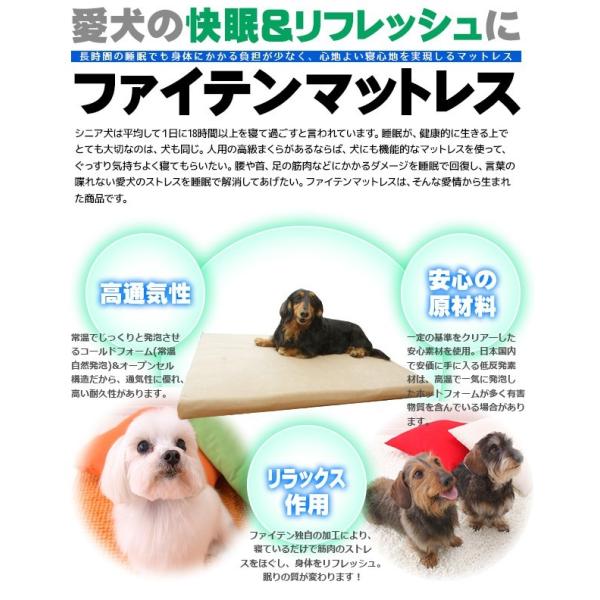 ドッグスタンス ペット用品 低反発マットレス S 老犬介護 ベッド 2000000004594 2000000004594 ドッグスタンス 介護 寝具 犬用品 ペット 生き物 ファイテン 犬用品 マット ペット 低反発マットレス 老犬介護 プロアクティブ プレート 犬介護 犬介護 高齢犬 犬用低反発