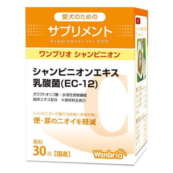  Tvg wanbrio uI VsjI H@ ֏L AL y Pʋ  Ht΍