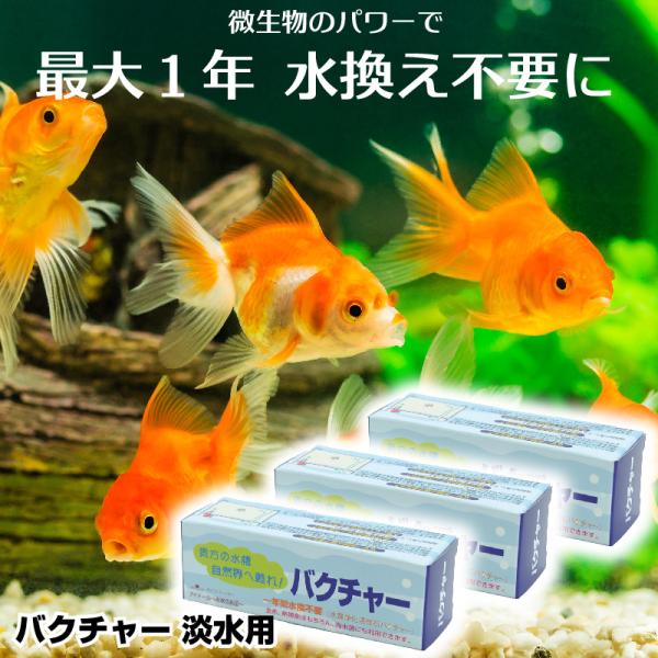 水槽 バクテリア 石 水質管理用品の人気商品 通販 価格比較 価格 Com