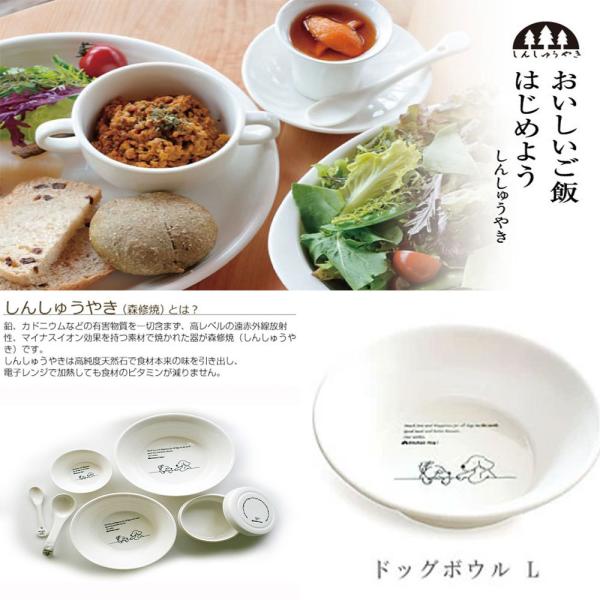  L H  XC hbO{E L H LQsgp x̓VR VR΂̉ԊO