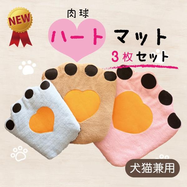  L ybg xbh }bg n[g}bg RZbg