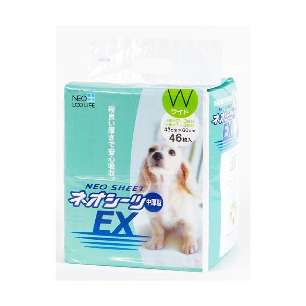 lIV[cEX Ch ^ 46 R[`[ gC^[ V[c pi