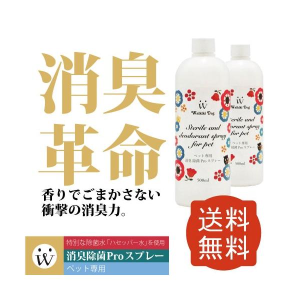 �E�C���X�΍� �������f�_ ���� ���L�X�v���[ �y�b�g ���S �l �� �L �R�ۃE�C���X ���L����PRO�X�v���[ �t��500����×2�{�Z�b�g ��������