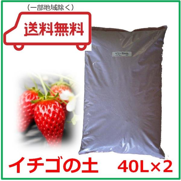 C`S̓yicÂpj40L 2܃Zbg