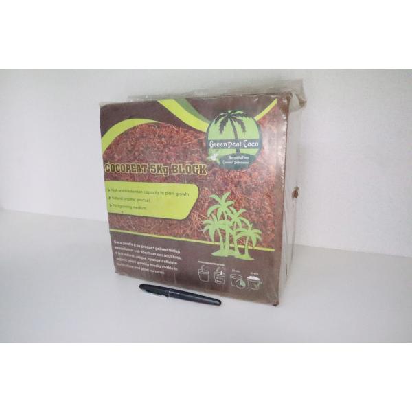 aichi-mederu_cb5k-1-2203-01