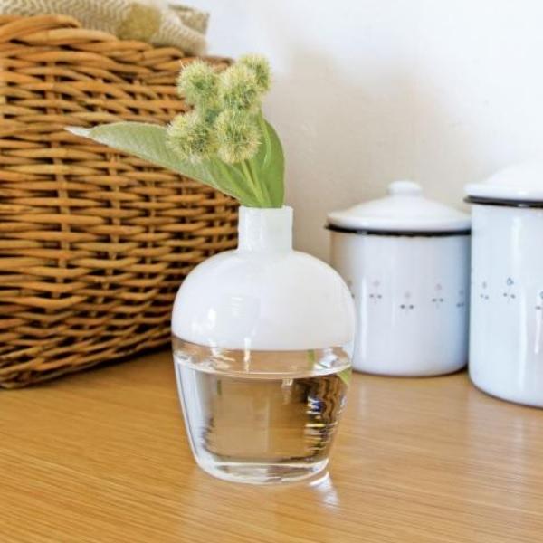 AXCIS ANVX ԕr t[x[X KX ֑} Vv k KXx[Xc[gS zCg  V Mtg