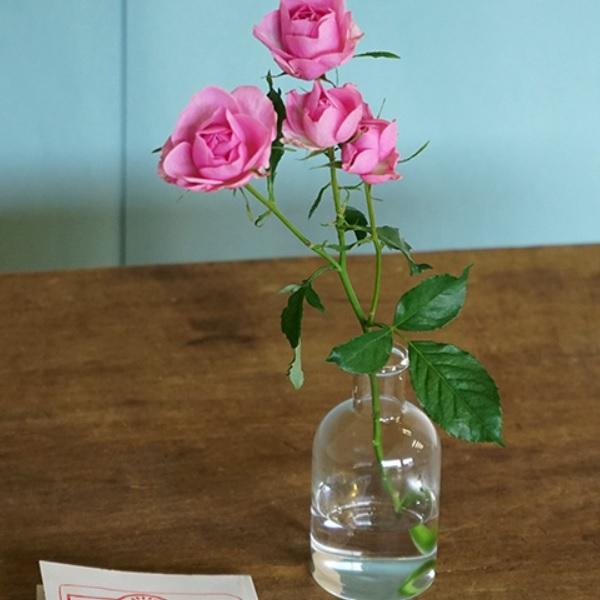 AXCIS ANVX ԕr t[ t[x[X KX ֑} Vv k KXx[X   V Mtg