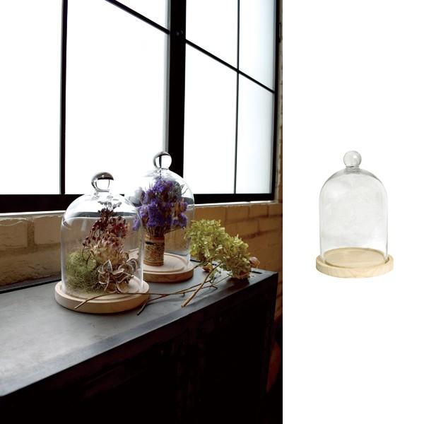 スタンドテラリウムa L Ca Sh94 Bmrlawoffices Com