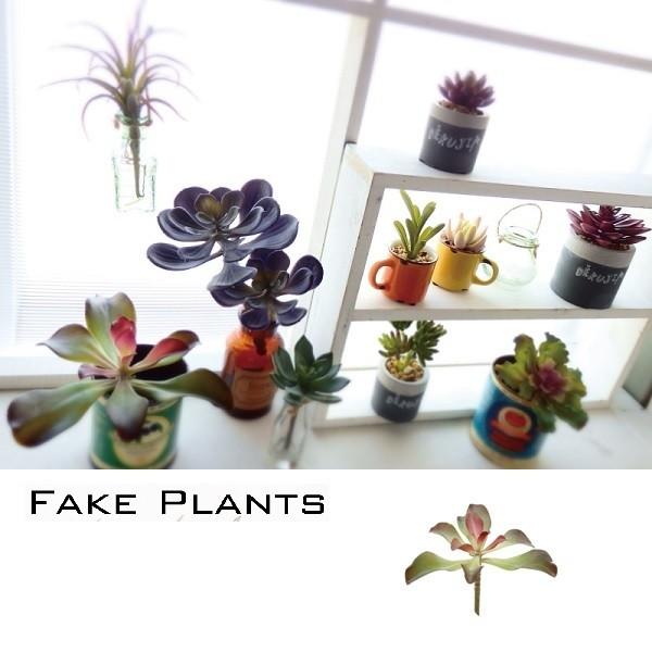 フェイクプランツ ｄ Ma 00 Axystravel Com