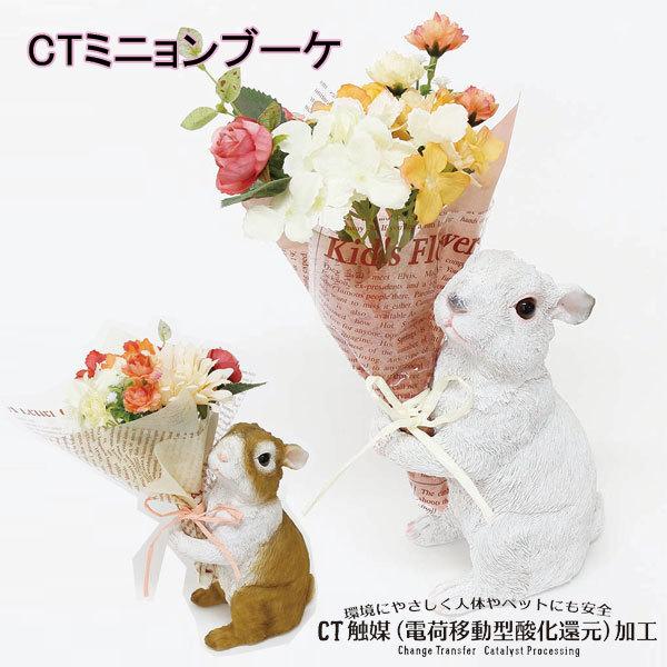  A[gt[AWg L tFCNO[ t[  C~e[V  CT~ju[P ETM