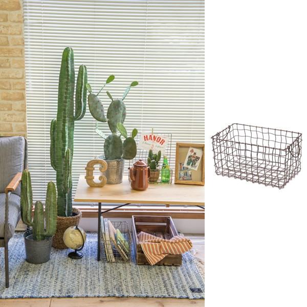   oXPbg  oXPbg C[  XNGAoXPbgL