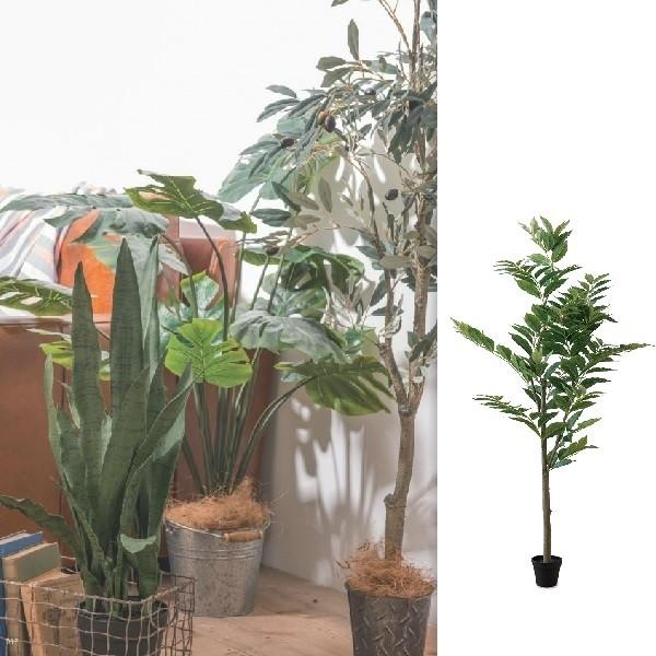 @ll [J[ s s ԕis  lHϗtA tFCNO[ R[q[c[