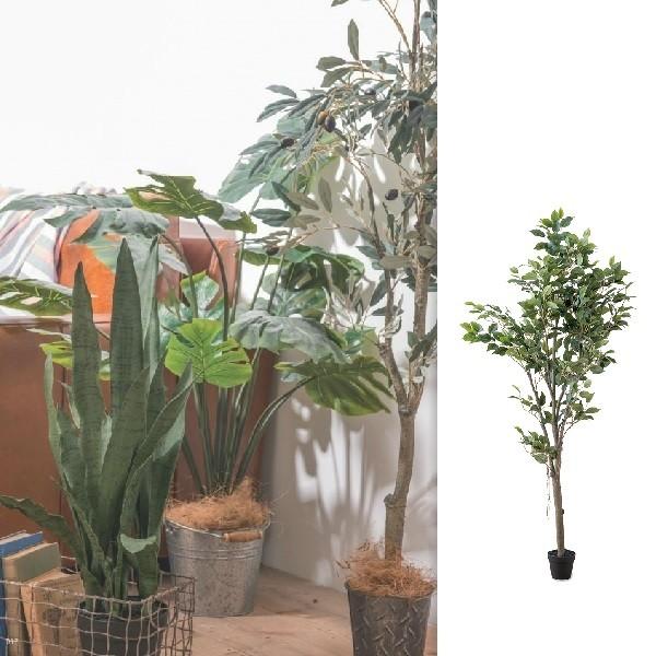 @ll [J[ s s ԕis  lHϗtA tFCNO[tBJXc[ @po-80955