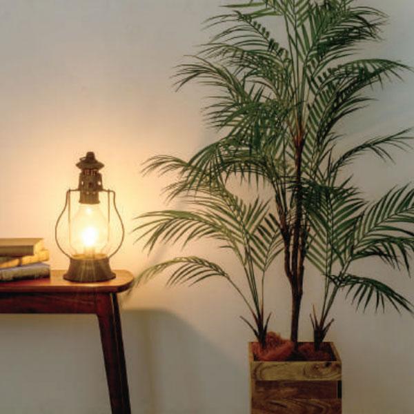 @ll [J[ s s ԕis  AJV 120cm  ϗtA CeA lHϗtA