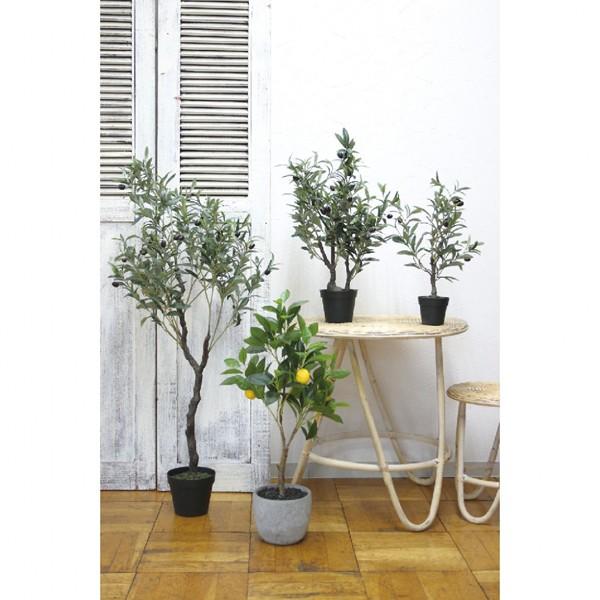 フェイクグリーン オリーブの木 2個セット 購入 50cm