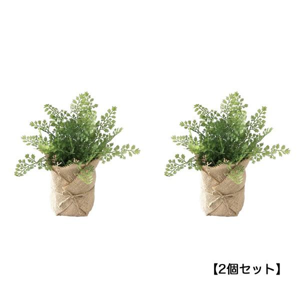 ジュートポット入りフェイクグリーン ハーブ 2個セット Bmrlawoffices Com