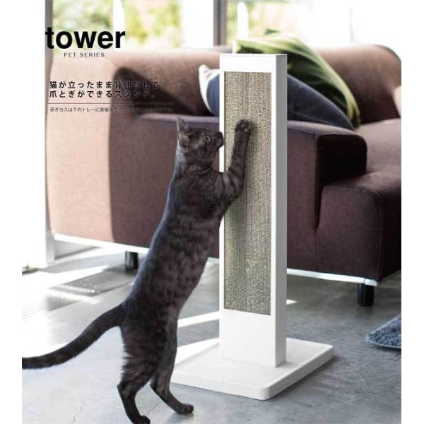 Lp܂Ƃ R YAMAZAKI tower L̒܂ƂX^h ^[ ܂Ƃ lR L Cat