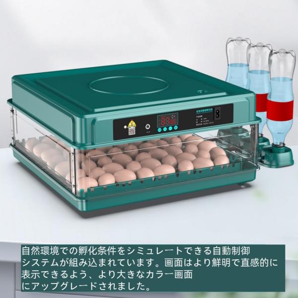 自動孵卵器、孵卵器、自動転卵、孵卵器、全自動インテリジェント、大容量、鳥孵卵器、小型家庭用、操作簡単、高電力供給、低騒音、子供の教育、家庭用