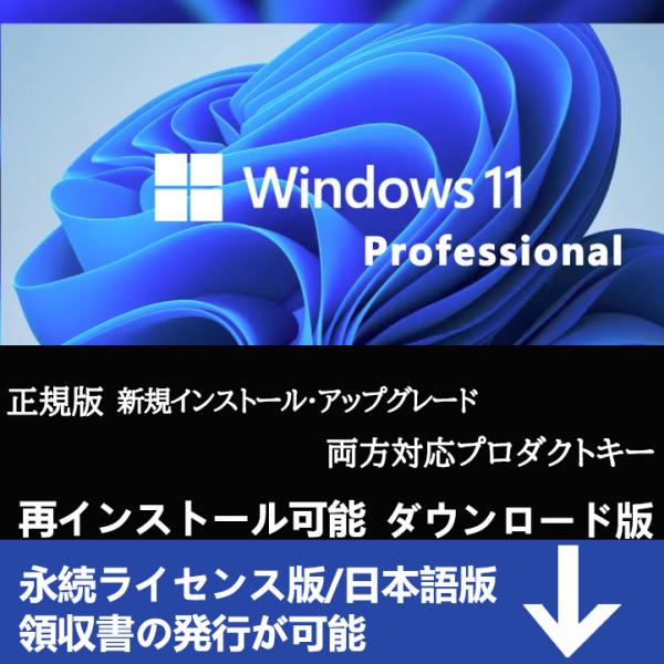 Microsoft Windows 11 os pro 1PCプロダクトキー  ダウンロード版 日本...